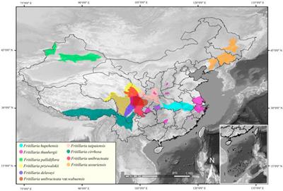 Research progress of rhizosphere microorganisms in Fritillaria L. medicinal plants